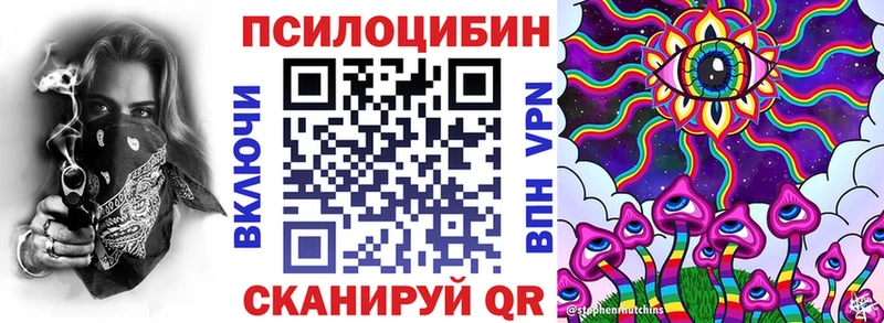 где можно купить   Каменск-Шахтинский  Псилоцибиновые грибы ЛСД 